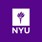 New York University