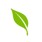 Healthfirst