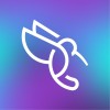Colibri Digital